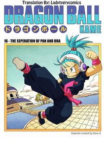 16 The Seperation Of Pan And Bra